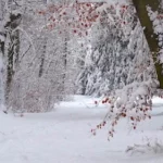 Der Weg ist das Ziel