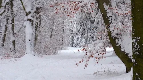 Mehr über den Artikel erfahren Der Weg ist das Ziel